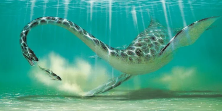 Monstro marinho de 12 metros: descobriram uma espécie que não se parece com nenhum animal conhecido até hoje