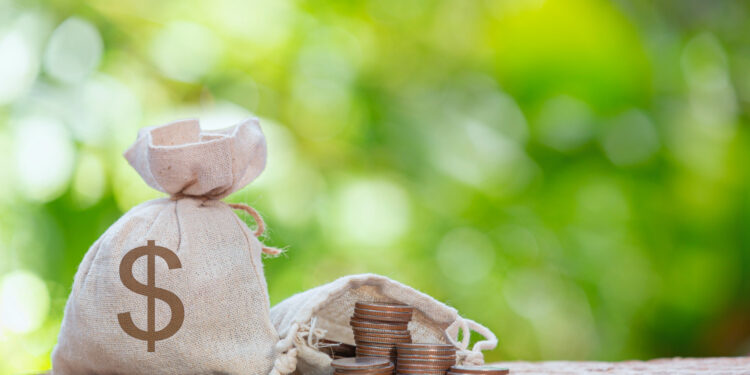 Reprodução: Freepik (jcomp)