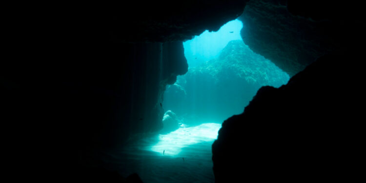 Reprodução: Freepik