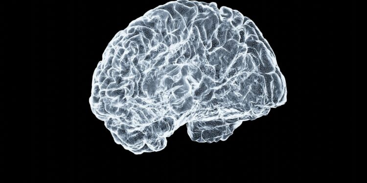 Reprodução: Unsplash (Shawn Day)