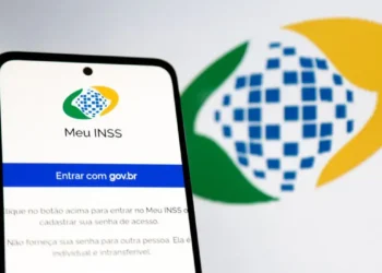 Reprodução: INSS
