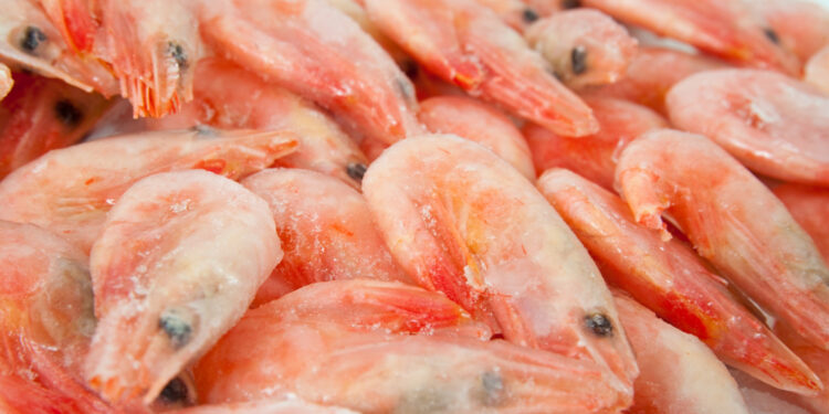 Reprodução: Freepik (bearfotos)