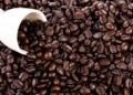 Reprodução: Freepik (jannoon028)