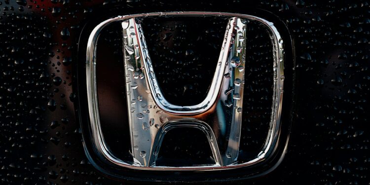 Reprodução: Unsplash (Leiada Krözjhen)