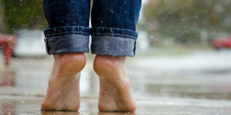 Foto: Alicia Zinn/Pexels