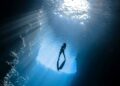 Foto: Elianne Dipp/Pexels
