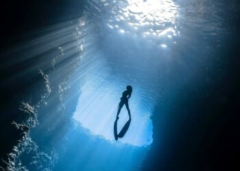Foto: Elianne Dipp/Pexels