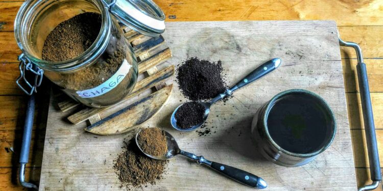 Foto: Elysabeth Malenfant/Unsplash