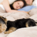 Dormir com seu animal de estimação pode dizer muito sobre sua mente, segundo especialistas
