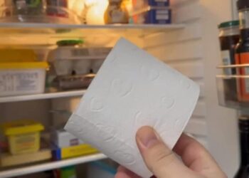 Colocar um rolo de papel higiênico na geladeira: por que se recomenda e para que serve
