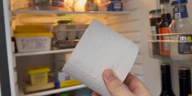 Colocar um rolo de papel higiênico na geladeira: por que se recomenda e para que serve
