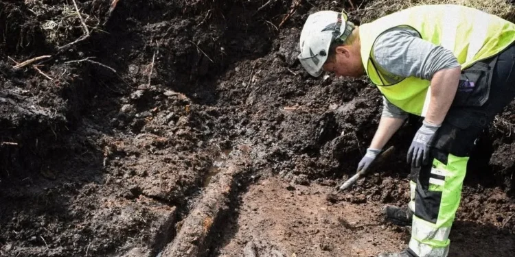 Arqueólogos descobrem artefatos impressionantes que datam 50 séculos