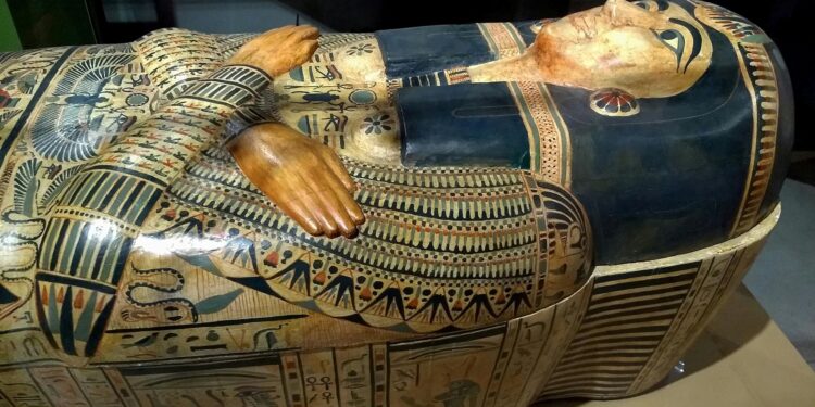 Foto: Miguel Á. Padriñán/Pexels