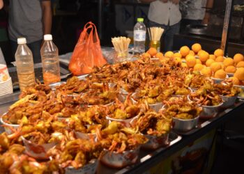 Pesquisadores da NASA observaram um aumento inesperado na atividade do Sol. Esperava-se que o astro entrasse em uma fase de inatividade prolongada, mas desde 2019, tem mostrado um aumento notável em atividades como manchas solares e flares. Este comportamento surpreendente intriga a comunidade científica. Desde os anos 1980, o Sol vinha apresentando uma diminuição na atividade, atingindo o ponto mais baixo em 2008. Contudo, com o início do Ciclo Solar 25 em 2019, o número de manchas solares e flares superou as expectativas anteriores, alterando a percepção dos pesquisadores sobre os ciclos solares. Compreendendo o Comportamento Inesperado do Sol A variação na atividade solar está ligada ao número de manchas solares, que refletem mudanças magnéticas na superfície do Sol. Estes fenômenos seguem um ciclo natural de aproximadamente 11 anos. No entanto, o Ciclo Solar 25 tem mostrado maior intensidade do que sua previsão inicial, criando um desafio para entender os mecanismos solares ainda desconhecidos. Cientistas buscam respostas para entender por que este ciclo excedeu as estimativas, especialmente já que os ciclos solares antes eram considerados previsíveis. Essa intensificação inesperada levanta novas questões sobre a dinâmica do Sol. Impactos das Atividades Solares na Terra A intensificação da atividade solar tem consequências diretas para o nosso planeta. As ejeções de massa coronal (CMEs), por exemplo, podem interferir nos sistemas de comunicação via satélite, afetar redes elétricas e até aumentar a frequência e intensidade das auroras visíveis em latitudes mais baixas. Além disso, a segurança de missões espaciais pode ser comprometida, à medida que a radiação proveniente dessas atividades aumenta. Em resposta, cientistas e agências espaciais intensificam o monitoramento do Sol para prever e mitigar possíveis impactos. Perspectivas do Ciclo Solar Os cientistas estimam que o Ciclo Solar 25 pode atingir seu pico em meados de 2025. No entanto, dados indicam que o Sol já ultrapassou previsões anteriores de atividade máxima. Instrumentos como o Solar Orbiter possibilitam análises detalhadas da atividade solar, fornecendo dados valiosos para entender essas variações. Preparativos para o Futuro das Atividades Solares Com as previsões sugerindo um aumento contínuo nas atividades solares até 2025, cientistas concentram-se em desvendar as complexidades do Sol. A pesquisa contínua visa prever de maneira mais precisa a atividade solar e proteger nossas tecnologias e astronautas no espaço. À medida que avançamos no Ciclo Solar 25, o foco está em manter um monitoramento atento do Sol para garantir que estejamos preparados para os efeitos potenciais dessas atividades em nosso mundo. Em conclusão, o acompanhamento contínuo do comportamento solar é essencial. Isso permitirá não só a proteção de nossa tecnologia, mas também novas descobertas sobre o funcionamento do nosso Sol em um contexto mais amplo. O monitoramento e a compreensão das atividades solares são fundamentais para mitigar riscos potenciais e fortalecer a resiliência tecnológica, assegurando que estejamos preparados para desafios futuros.