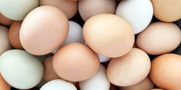O que acontece com seu colesterol quando você come ovos todos os dias