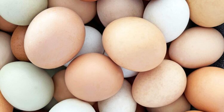 O que acontece com seu colesterol quando você come ovos todos os dias