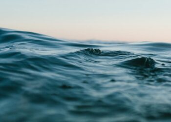 Foto: Matt Hardy/Pexels