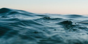 Foto: Matt Hardy/Pexels