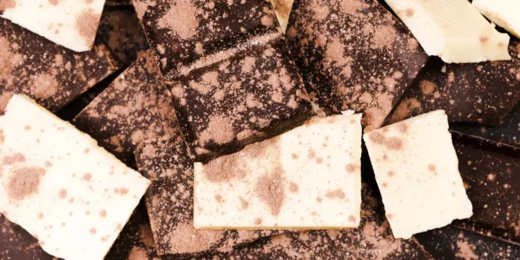 Brasil conquista o topo: Chocolate brasileiro é eleito o melhor do mundo em 2025