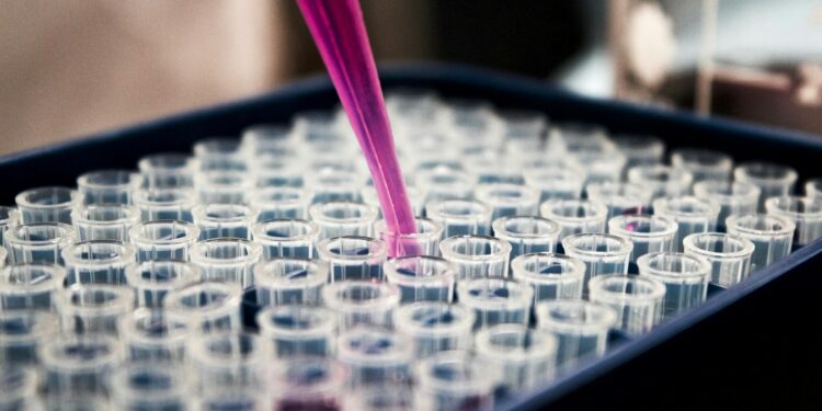 Foto: Louis Reed/Unsplash