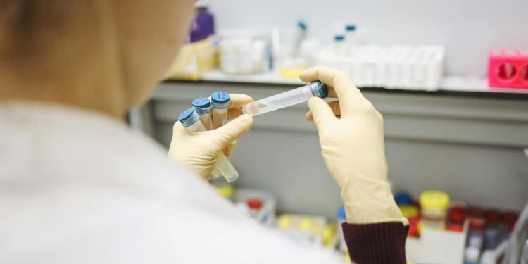 Foto: Polina Tankilevitch/Pexels