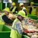 Cidades do futuro? Novo sistema de coletas de lixo vai revolucionar a reciclagem