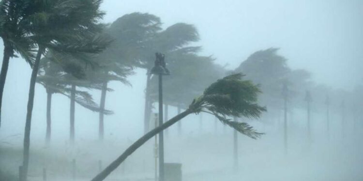 Tempestade interminável: pessoas ficam em choque ao ler sobre chuva de 2 milhões de anos