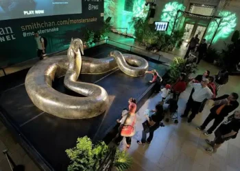 Cientistas ficam chocados com serpente maior que qualquer humano
