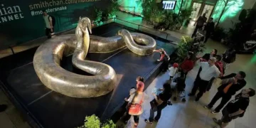 Cientistas ficam chocados com serpente maior que qualquer humano