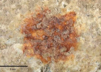 Impressão digital encontrada na Espanha pode ser a mais antiga já registrada