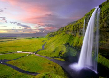 Foto: Robert Lukeman/Unsplash