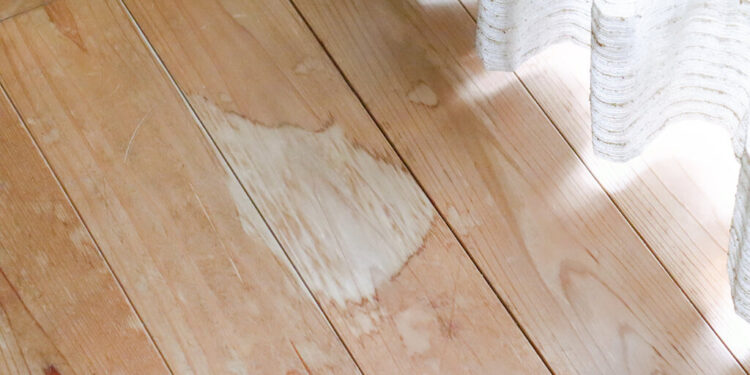 Nem água sanitária nem detergente: o método para tirar manchas de umidade da madeira, segundo uma especialista