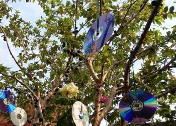 Não é para decorar: para que serve pendurar CDs na varanda?