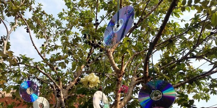 Não é para decorar: para que serve pendurar CDs na varanda?