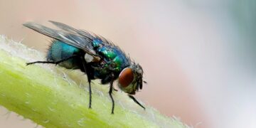 Foto: Philip Veater/Unsplash