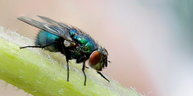 Foto: Philip Veater/Unsplash