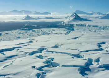 Bactéria da Antártida tem potencial de mudar a medicina, a beleza e a alimentação