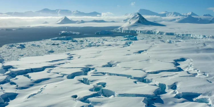 Bactéria da Antártida tem potencial de mudar a medicina, a beleza e a alimentação
