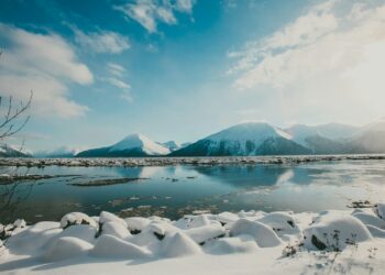 Foto: Rod Long/Unsplash