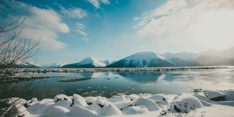 Foto: Rod Long/Unsplash