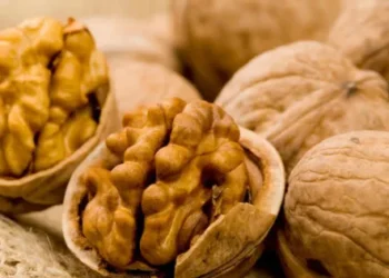 Por que colocar cascas de noz nas brasas do churrasco e quais são seus benefícios