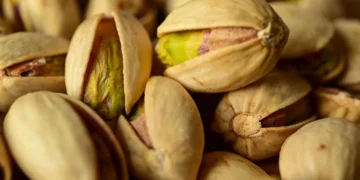 O que acontece com seu corpo quando você come pistaches regularmente