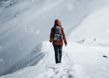 Foto: Gantas Vaičiulėnas/Pexels