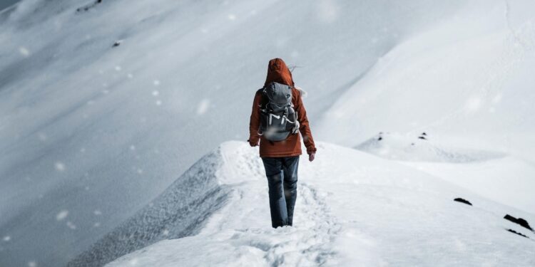 Foto: Gantas Vaičiulėnas/Pexels