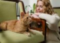 Cientistas finalmente revelam nova forma para conseguir conversar com seu gato