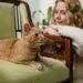 Cientistas finalmente revelam nova forma para conseguir conversar com seu gato