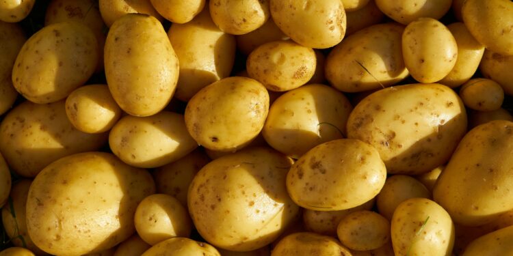 Cuidado com as manchas: como saber quais batatas escolher ao ir ao supermercado