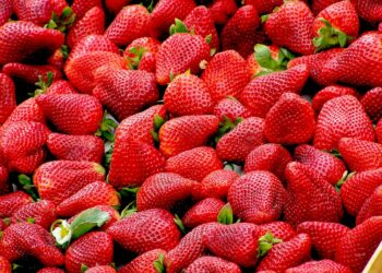 Nem na geladeira nem na fruteira: esse é o melhor lugar para guardar morangos e evitar que estraguem