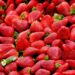 Nem na geladeira nem na fruteira: esse é o melhor lugar para guardar morangos e evitar que estraguem