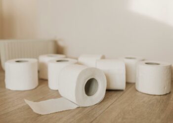 Diga adeus ao papel higiênico: seu substituto chegou, e é mais eficiente e ecológico